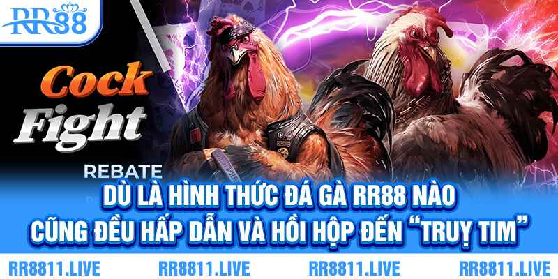 Dù là hình thức đá gà RR88 nào cũng đều hấp dẫn và hồi hộp đến “truỵ tim”