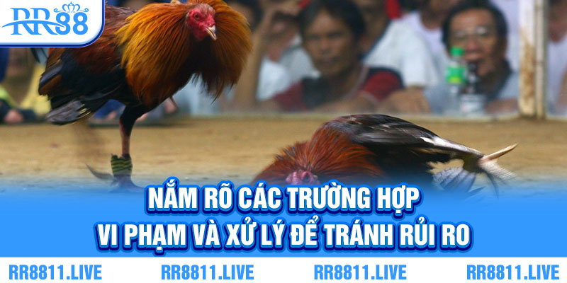 Nắm rõ các trường hợp vi phạm và xử lý để tránh rủi ro