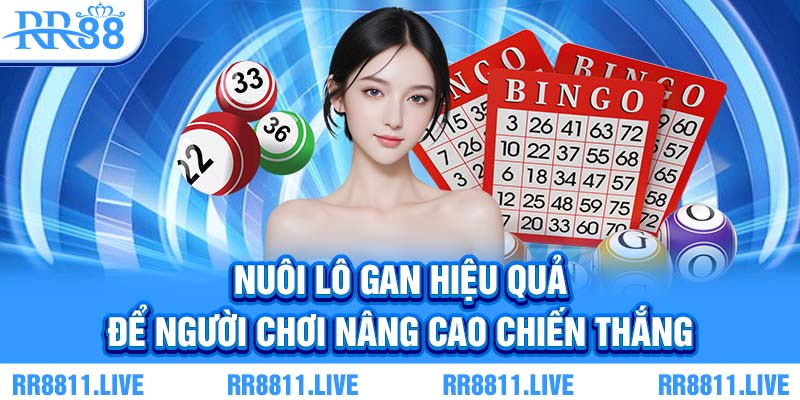 Nuôi lô gan hiệu quả để người chơi nâng cao chiến thắng