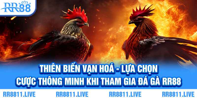 Thiên biến vạn hoá - lựa chọn cược thông minh khi tham gia đá gà RR88